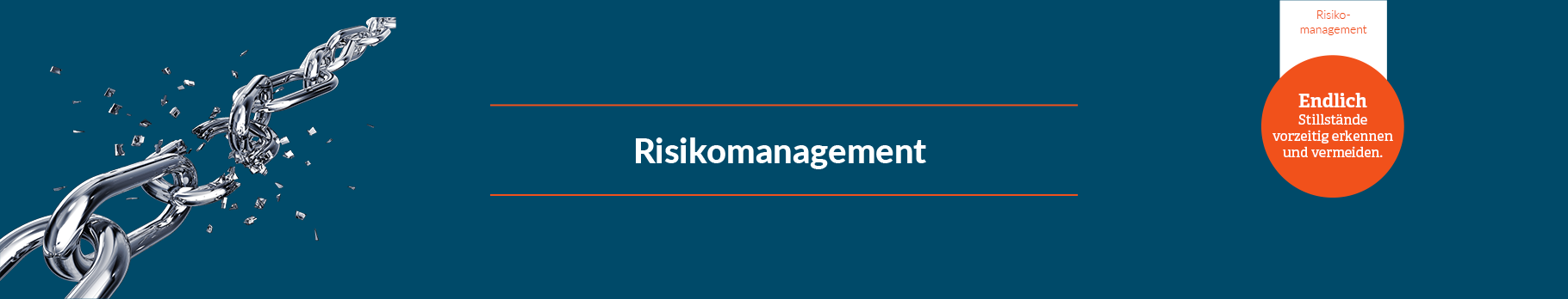 Risikomanagement Seminar-Workshop