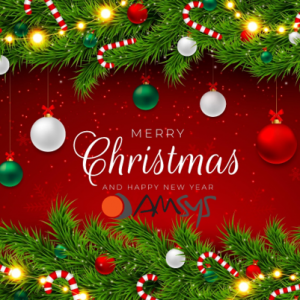 2024- Frohe Weihnachten und ein erfolgreiches neues Jahr!